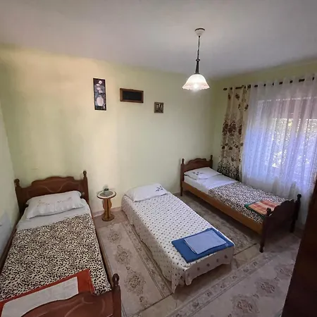 Riza Guest house Puke